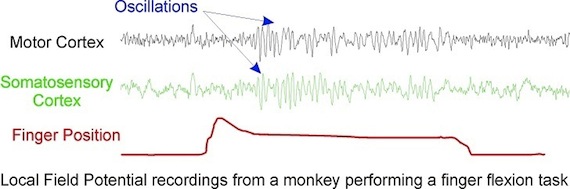 oscillations